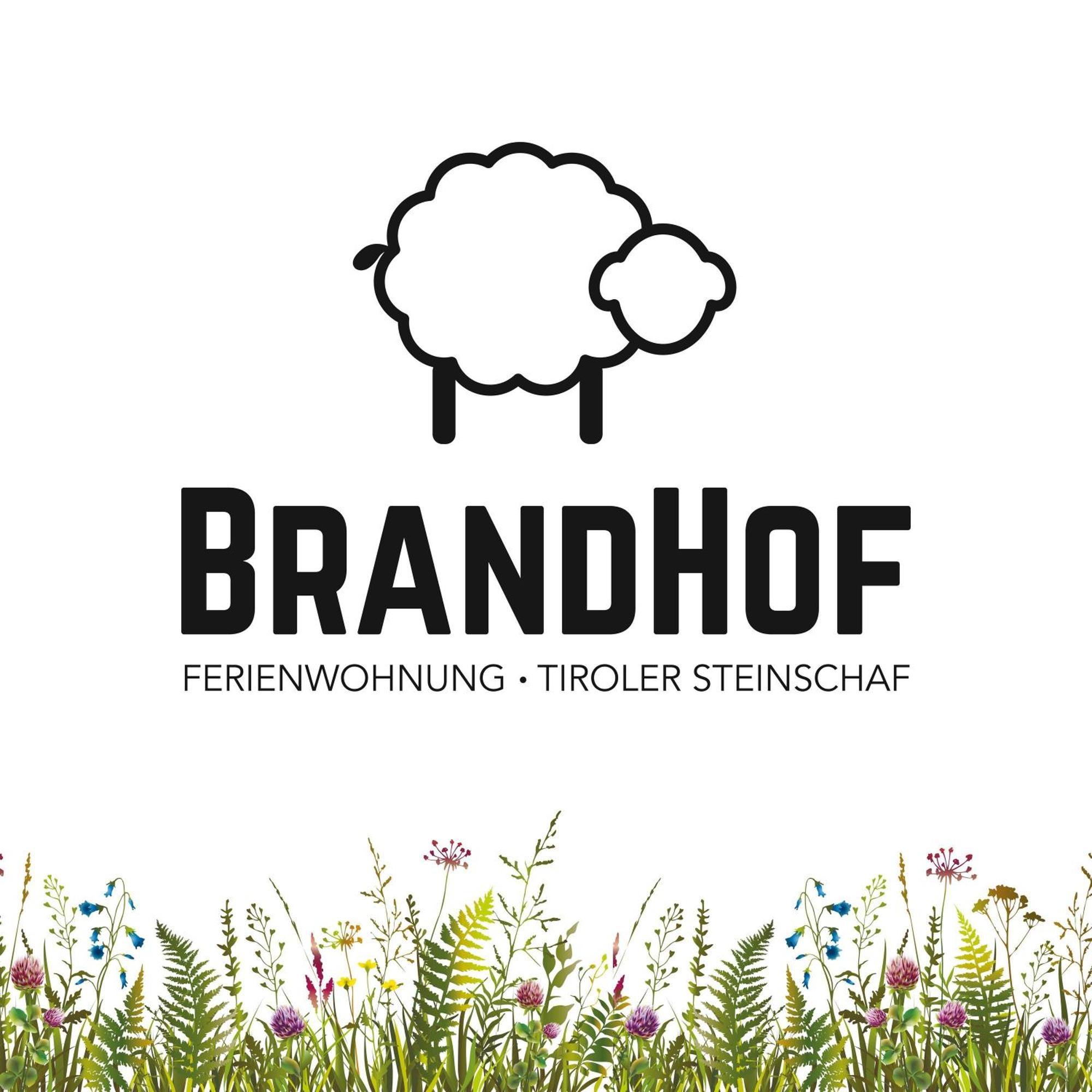 Brandhof Διαμέρισμα Reith Εξωτερικό φωτογραφία